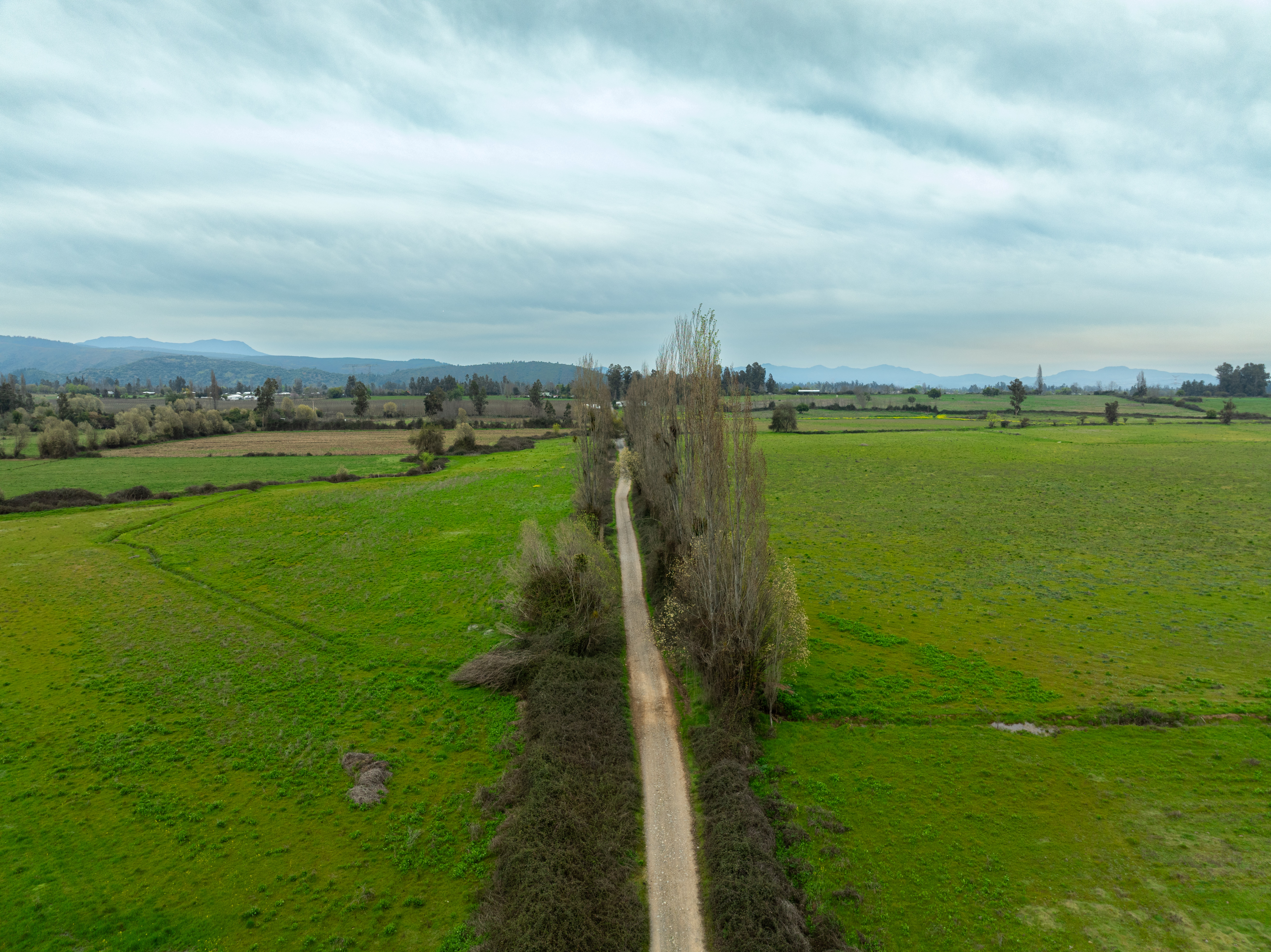 Vista panorámica