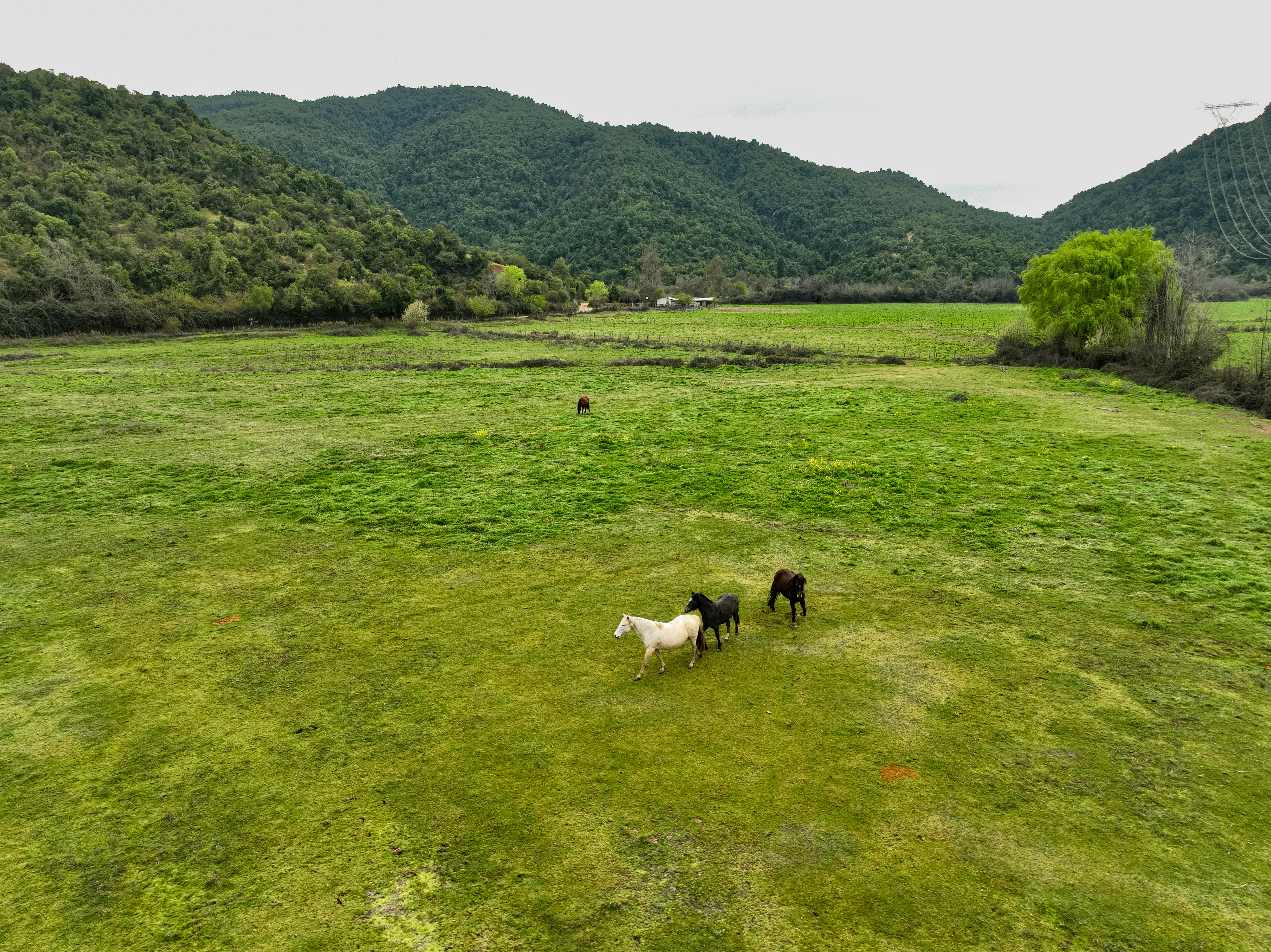 Terrenos del proyecto